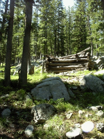 Enlarge photo 50