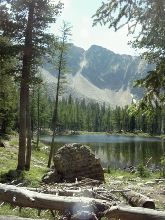 Enlarge photo 51