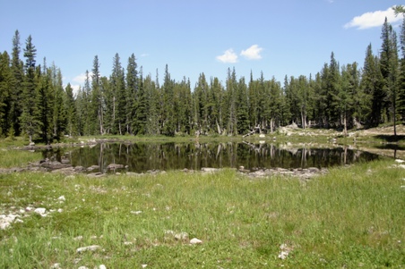 Enlarge photo 52