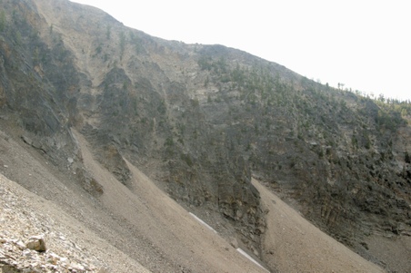 Enlarge photo 57