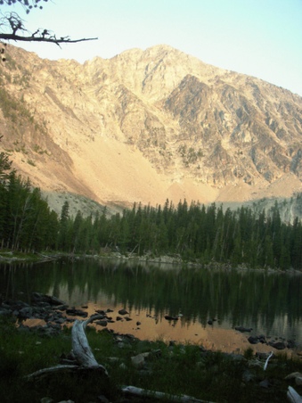 Enlarge photo 62