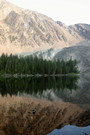 Enlarge photo 65