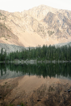 Enlarge photo 66