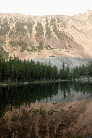 Enlarge photo 67