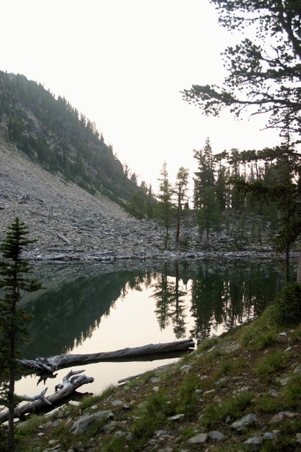 Enlarge photo 71