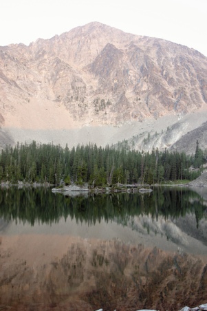 Enlarge photo 75