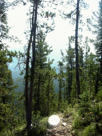 Enlarge photo 83