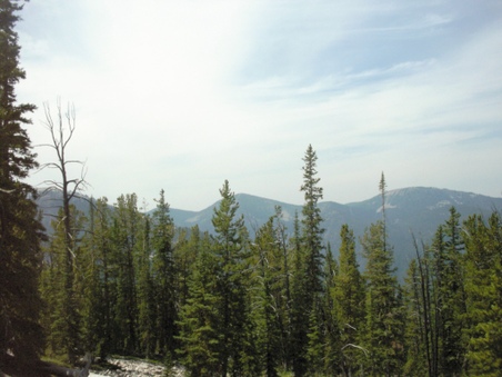 Enlarge photo 85