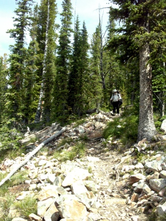Enlarge photo 86