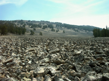 Enlarge photo 87