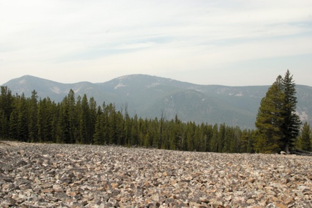 Enlarge photo 89