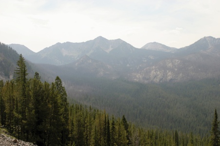 Enlarge photo 90