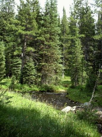 Enlarge photo 96