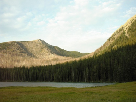 Enlarge photo 102