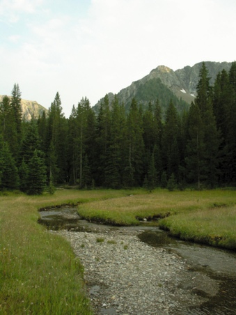 Enlarge photo 103
