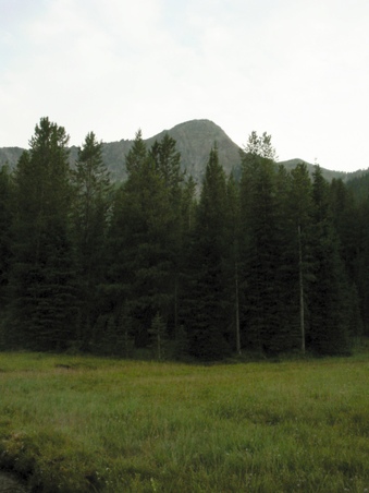 Enlarge photo 104