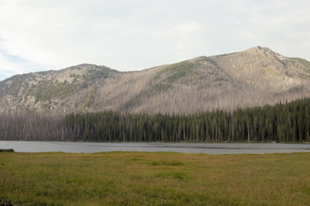 Enlarge photo 106