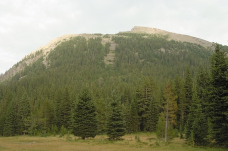 Enlarge photo 107