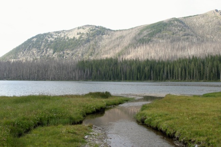 Enlarge photo 108