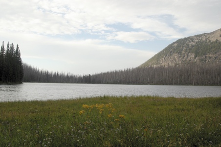 Enlarge photo 109