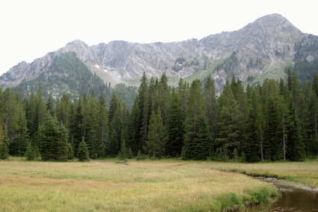 Enlarge photo 111