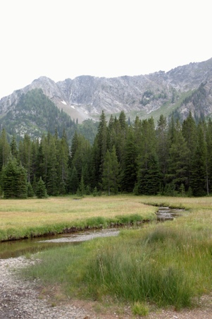 Enlarge photo 112