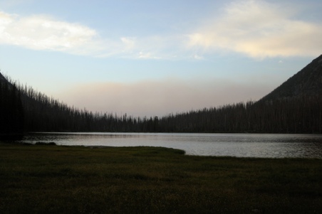 Enlarge photo 113