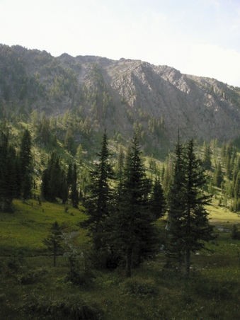 Enlarge photo 7