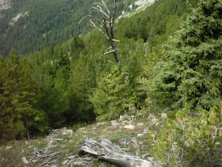 Enlarge photo 20