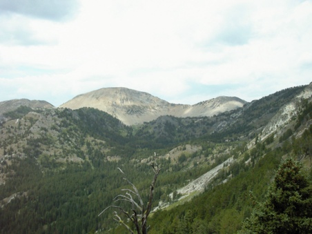 Enlarge photo 21