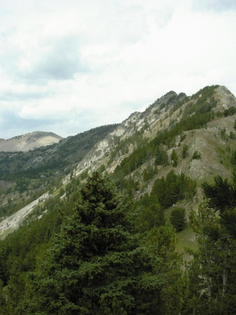 Enlarge photo 22