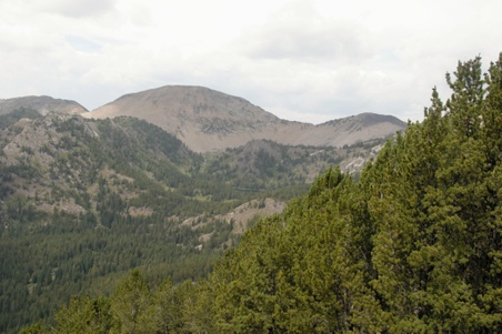 Enlarge photo 25