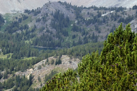 Enlarge photo 26