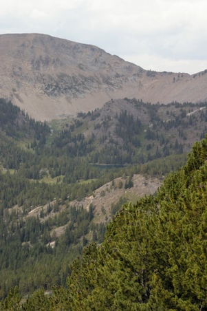 Enlarge photo 28