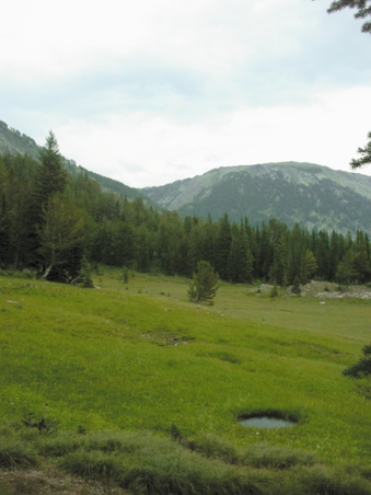 Enlarge photo 35