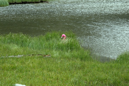 Enlarge photo 37