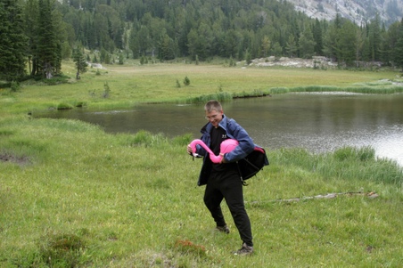Enlarge photo 40