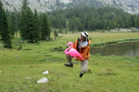 Enlarge photo 44