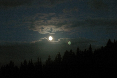 Enlarge photo 49