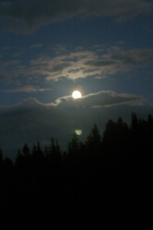 Enlarge photo 50