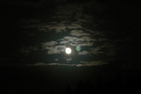 Enlarge photo 51