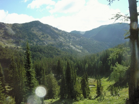 Enlarge photo 55