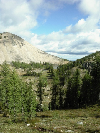 Enlarge photo 56
