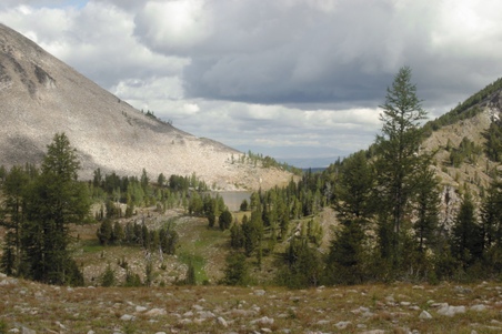 Enlarge photo 58