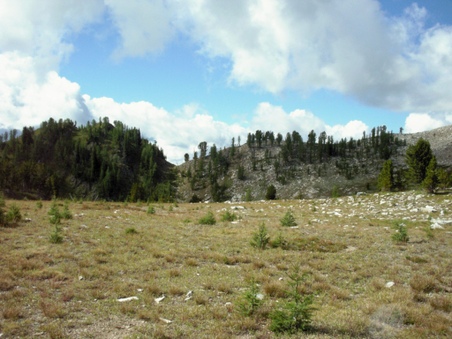 Enlarge photo 61