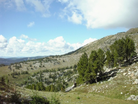 Enlarge photo 63