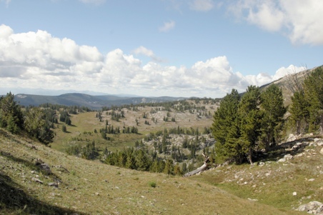 Enlarge photo 65