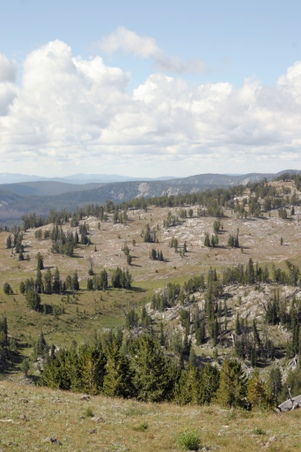 Enlarge photo 67