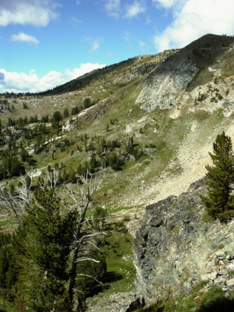 Enlarge photo 68