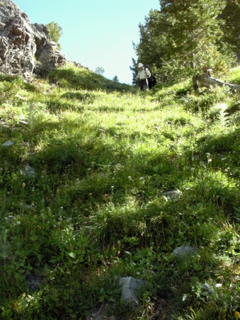 Enlarge photo 71